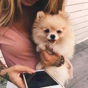 Meet your Posher, Bryce